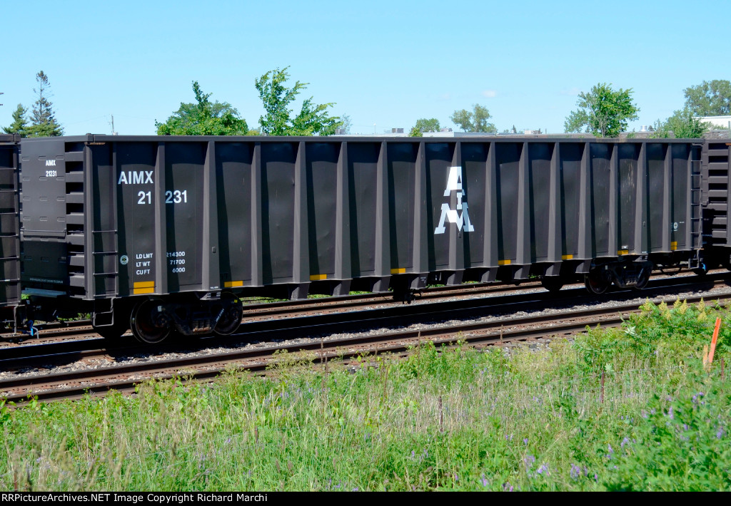 AIMX 21231